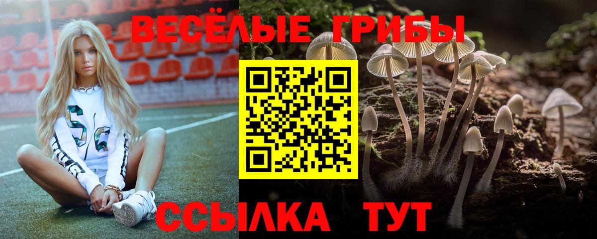 Псилоцибиновые грибы Magic Shrooms Прокопьевск