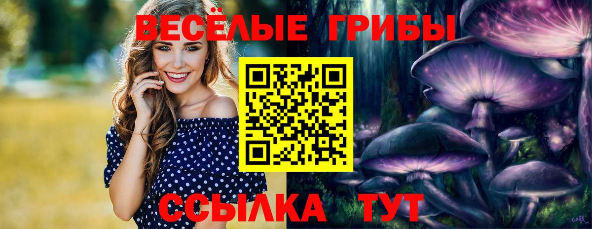 Прокопьевск  Псилоцибиновые грибы Magic Shrooms  Вход с VPN  Галлюциногенные грибы прущие грибы 