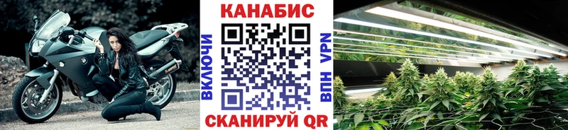 Каннабис LSD WEED  купить наркоту  гидра онион  Прокопьевск 